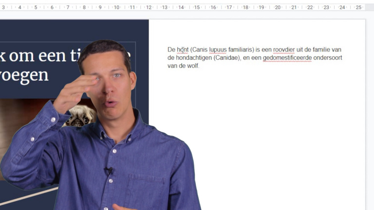 Google presentaties: spellingcontrole