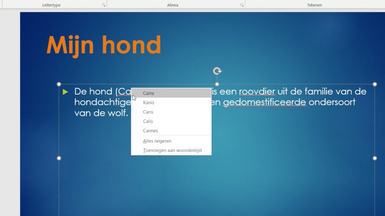 Powerpoint: spellingcontrole