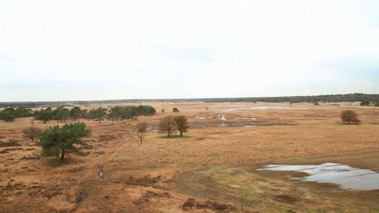 Biotopen: De heide -  1ste graad A - 