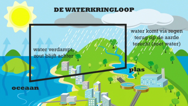 Biotopen: Zoet water -  1ste graad A - Natuurwetenschappen