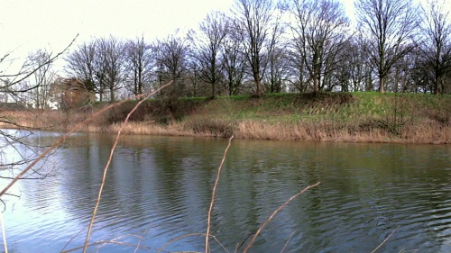 Video Stilstaand Zoet Water. - Natuurwetenschappen 1ste graad A