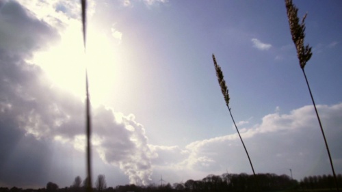 Video Landschappen: natuurlandschap of cultuurlandschap? - Aardrijkskunde 1ste graad A