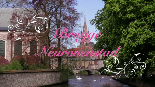 Video Bouw van een Zenuwcel of Neuron! -  2de graad