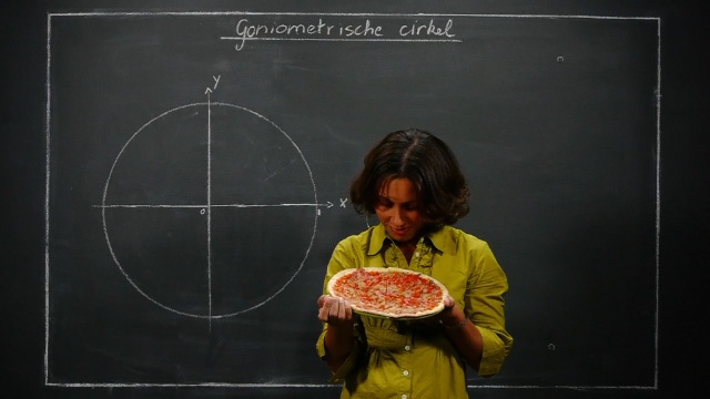 Goniometrische cirkel