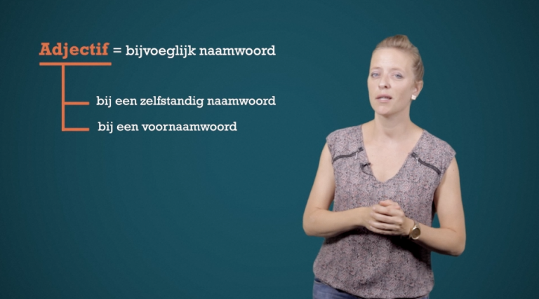 L'adjectif: Het bijvoeglijk naamwoord -   - 