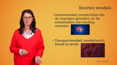 Video Cellen en weefsels: soorten weefsel - Personenzorg 2de graad