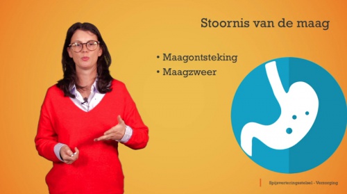 Video Spijsverteringsproblemen: slokdarmstoornissen en maagstoornissen -  2de graad