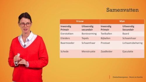 Video De geslachtsorganen: samenvatting -  2de graad