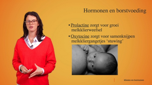 Video Klieren en hormonen: hormonen bij de zwangerschap -  2de graad