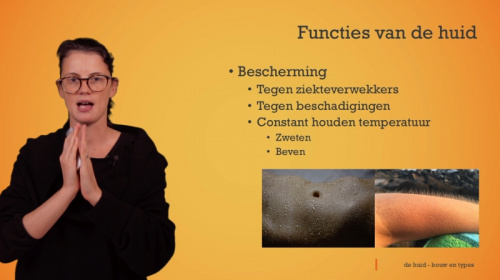 Video Huid: functies en types - Personenzorg 2de graad