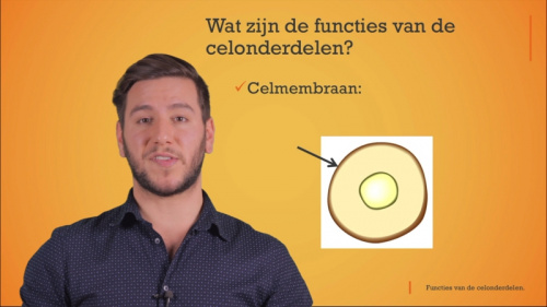 Video Functies van de celonderdelen. -  1ste graad A