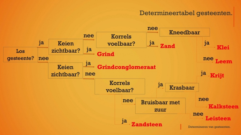 Gesteenten -  1ste graad A - 