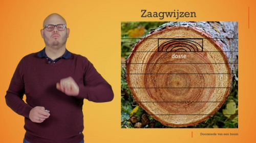 Video Hoe halen we planken uit een boom? - Techniek 1ste graad A