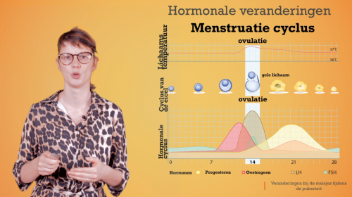 Video Pubertijd meisje: mentale en hormonale veranderingen -  1ste graad A