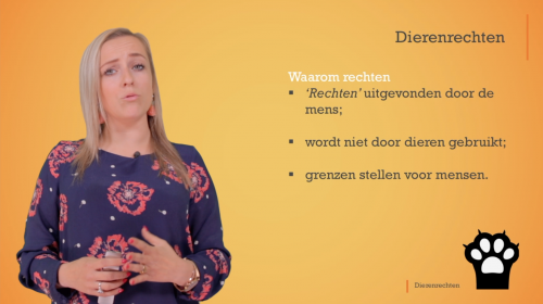 Video Dierenrechten -  1ste graad A