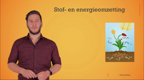 Video Stof- en energieomzetting bij fotosynthese -  1ste graad A