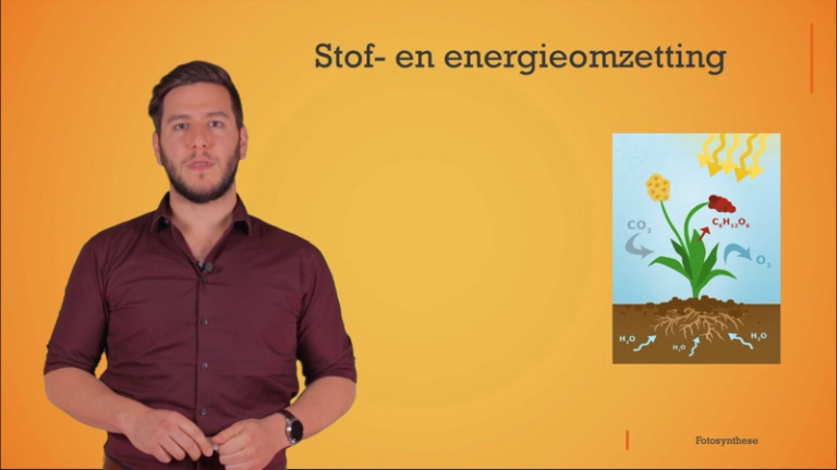 Stof- en energieomzetting bij fotosynthese