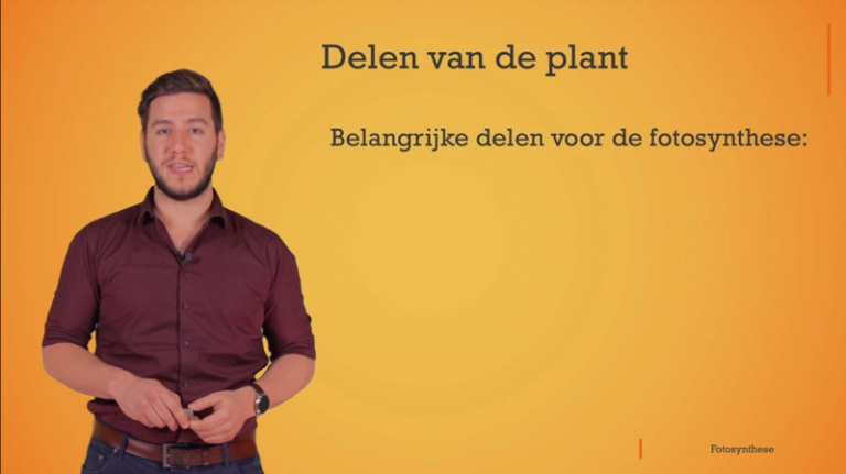 De algemene stofomzetting bij de fotosynthese