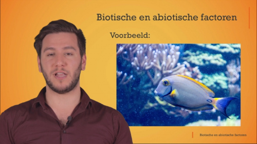 Video Wat zijn biotische en abiotische factoren? Hier een paar voorbeelden. - Natuurwetenschappen 1ste graad A